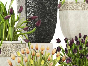 tulipas Modelo 3D