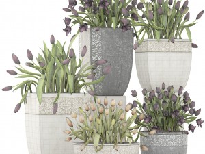 tulips Modèle 3D
