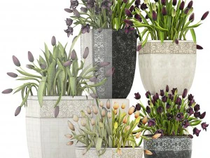 tulipas Modelo 3D