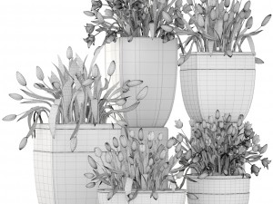 tulips Modèle 3D