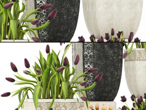 tulips Modèle 3D