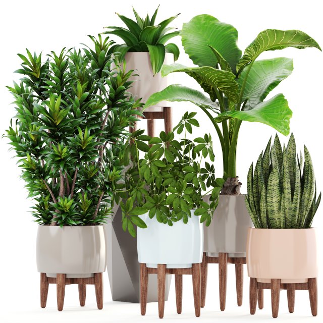 collection plants 3D Model .c4d .max .obj .3ds .fbx .stl .blend 