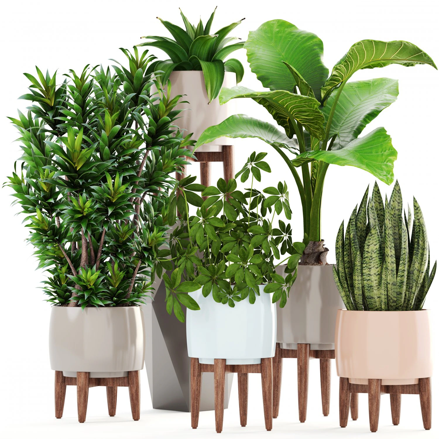 collection plants 3D Model .c4d .max .obj .3ds .fbx .stl .blend