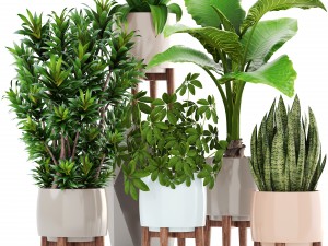 collection plants 3D Model