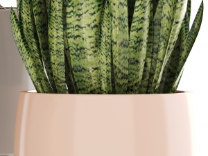 collection plants 3D Model