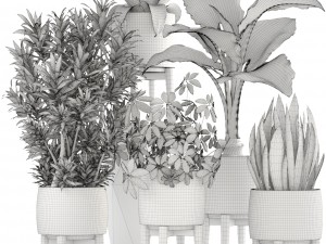 collection plants 3D Model