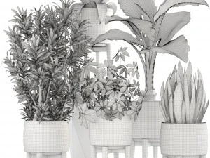 collection plants 3D Model