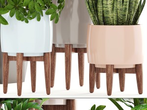 collection plants 3D Model