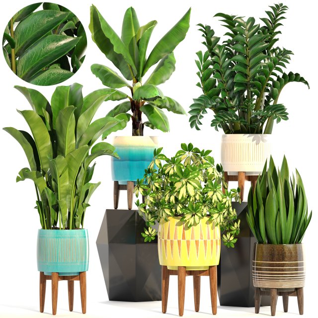 collection plants 3D Model .c4d .max .obj .3ds .fbx .stl .blend 