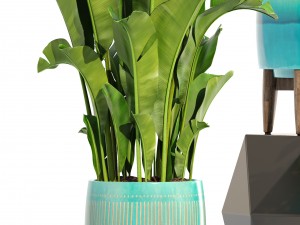collection plants 3D Model