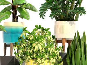 collection plants 3D Model