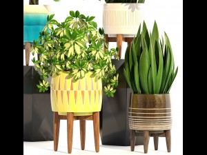 collection plants 3D Model