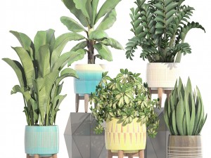 collection plants 3D Model
