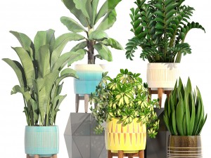 collection plants 3D Model