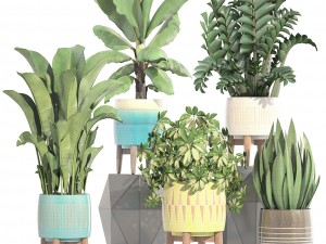 collection plants 3D Model