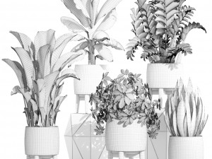 collection plants 3D Model