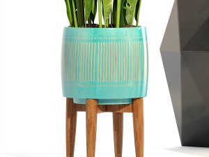 collection plants 3D Model
