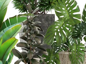 collection plants 3D Model