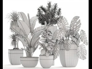 collection plants 3D Model