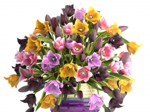 bouquet of tulips Modelo 3D