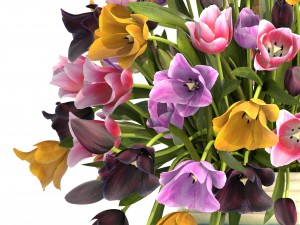 bouquet of tulips 3D 모델