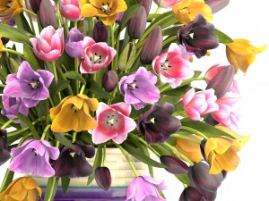bouquet of tulips 3D 모델
