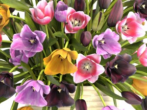 bouquet of tulips 3D 모델