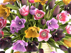 bouquet of tulips 3D 모델