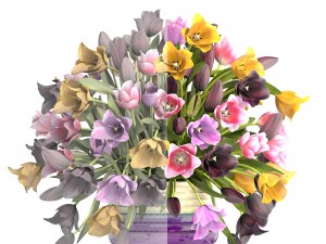 bouquet of tulips 3D 모델