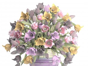 bouquet of tulips 3D 모델