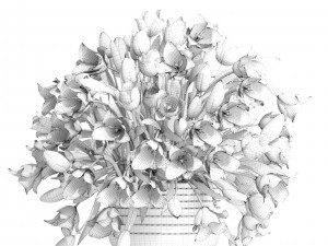 bouquet of tulips 3D 모델