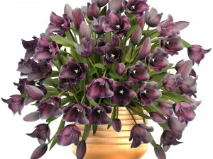 튤립 꽃다발 3D 모델