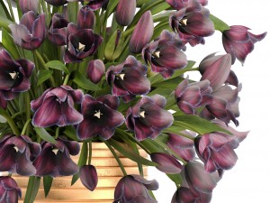 bouquet of tulips 3D Model