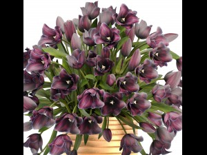 bouquet of tulips 3D Model