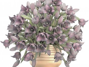 bouquet of tulips 3D Model