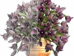 bouquet of tulips 3D Model