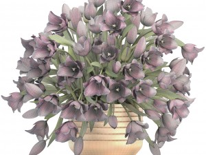 bouquet of tulips 3D Model