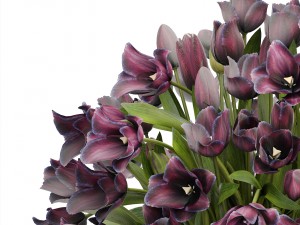 bouquet of tulips 3D Model