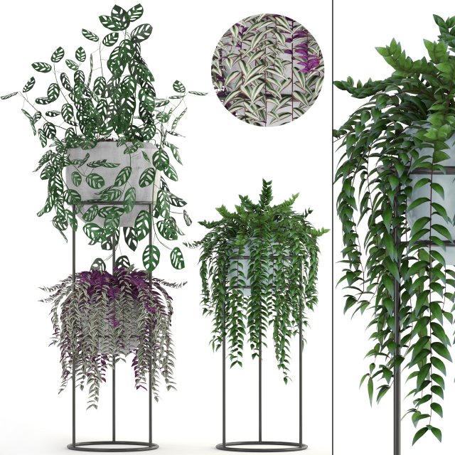 collection plants 3D-Modell .c4d .max .obj .3ds .fbx .stl .blend 