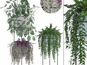 collection plants 3D Model