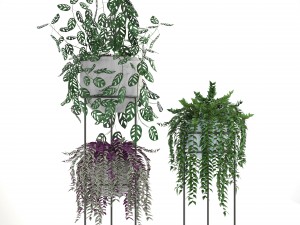 collection plants 3D-Modell