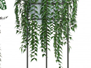 collection plants 3D-Modell