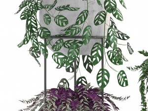 collection plants 3D-Modell