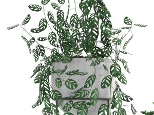 piante di raccolta Modello 3D