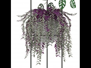 collection plants 3D-Modell
