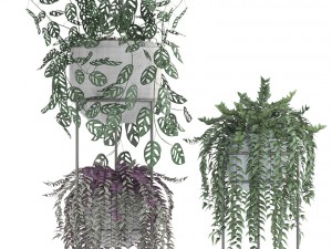 collection plants 3D-Modell