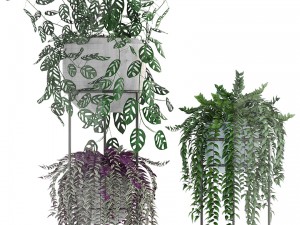 collection plants 3D-Modell