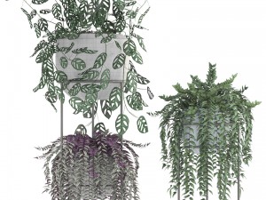 collection plants 3D-Modell