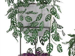 collection plants 3D-Modell