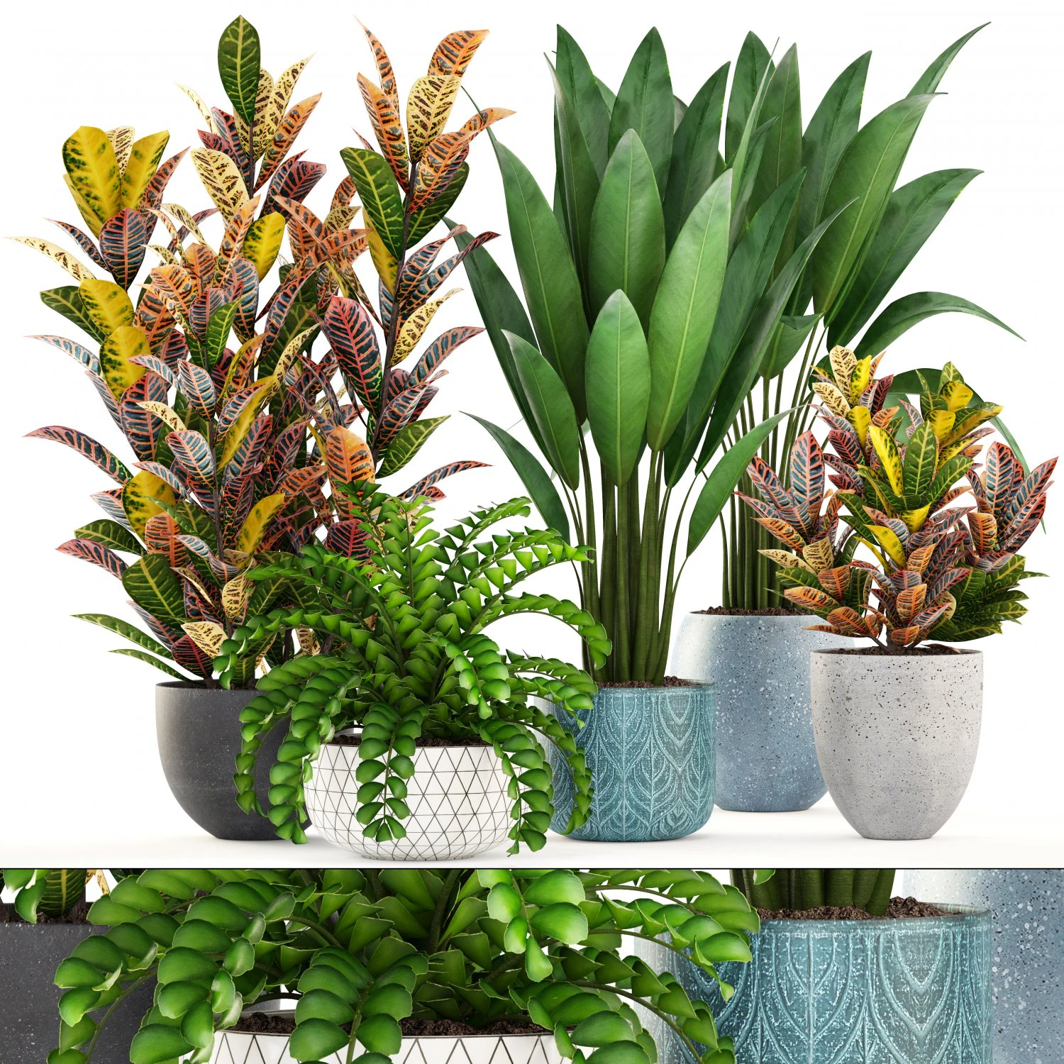 collection plants 3D Model .c4d .max .obj .3ds .fbx .stl .blend